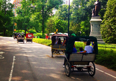 central park pedicab - New York Pedicab Services